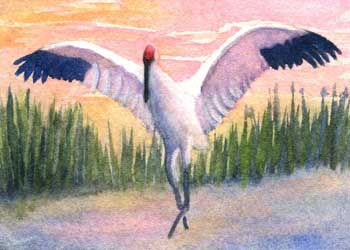 "Dawn Dance" by Rebecca Herb, Madison WI - Watercolor - SOLD